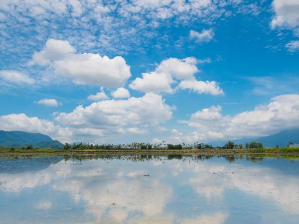 BBC Mundo: Paisaje en campos de arroz de Taiwán.