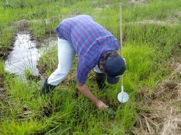 BBC Mundo: Pedro Alarcón-Elbal recogiendo muestras en República Dominicana
