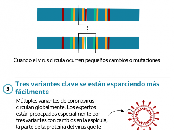 BBC Mundo: Gráfico sobre las nuevas variantes de coronavirus
