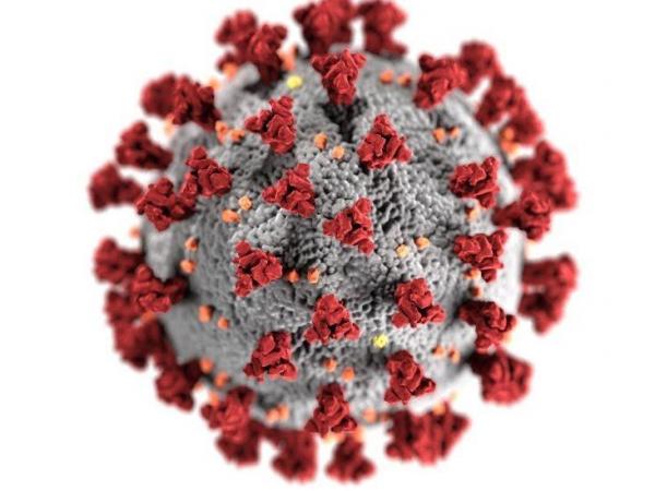 BBC Mundo: Coronavirus