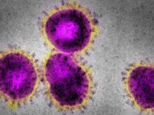 BBC Mundo: coronavirus