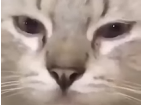 iiiiiiiiiiiiiiiiiiiiiiiiiiiiiiiiiiiii