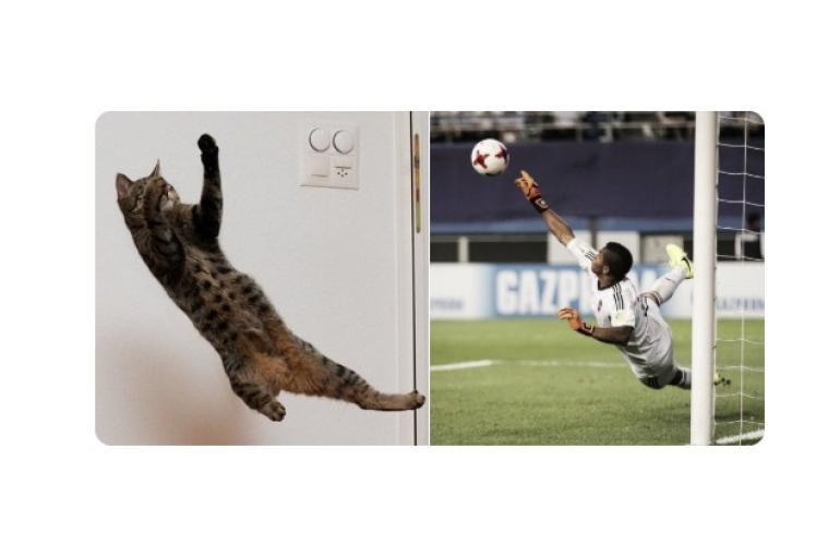 Mejores memes del partido de Faríñez