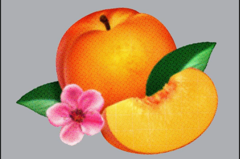 ppppppppppppppppppppppppp